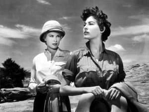 Mogambo