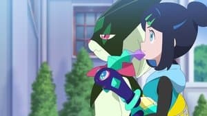 Charcadet's Wish!