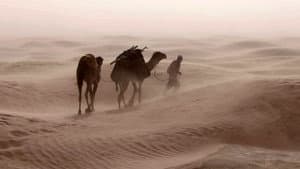 Sirocco, the Desert Breath