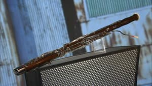 Thai Barbecues, Diving Masks & Fins, Bassoons