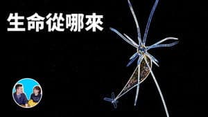 Episode 60