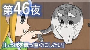 Night 46: The Urge to Straighten a Tail