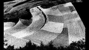Mario Giacomelli
