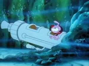 Whales Tales