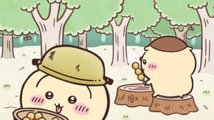 Episode 338