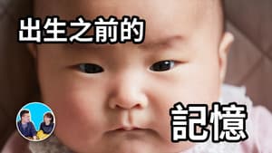 Episode 246