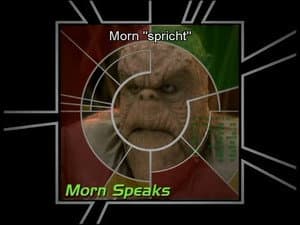 Morn Speaks