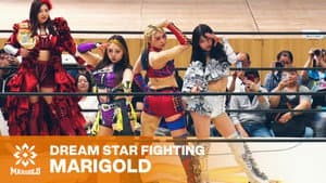 Marigold Shining Attack 2026 ~ Day 12