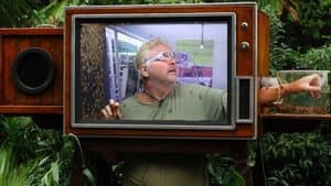 As Scream on TV