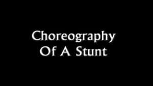 Choreography Of A Stunt