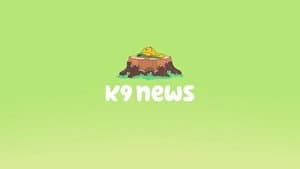 K9 News