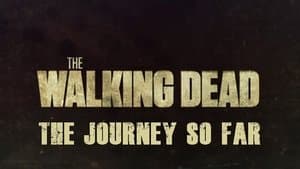 The Journey So Far (2017)