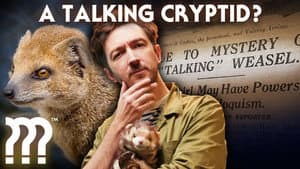 The Freaky Case of Gef the Talking Mongoose