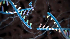 The New Frontiers of DNA