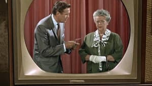 Aunt Bee on TV