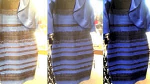 BLACK & BLUE DRESS SCIENTIFIC EXPLANATION