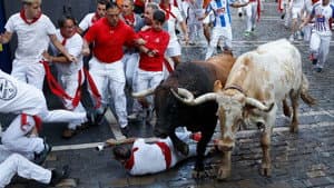 Segundo Encierro - Cebada Gago
