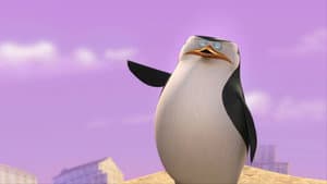 Skorca!