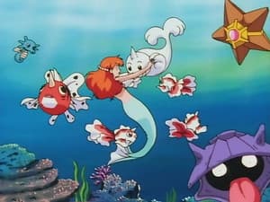 The Misty Mermaid