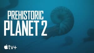 Uncovered: What Do We Really Know About Ammonites?