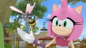 Give Bees a Chance