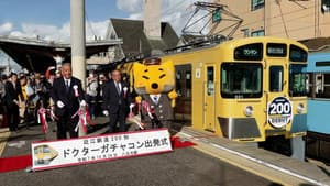 Vertical Separation: A Key to the Survival of Local Railways