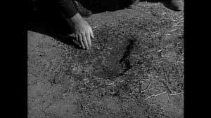 The Monster of Moon Ridge