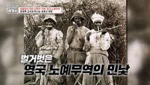 Episode 41