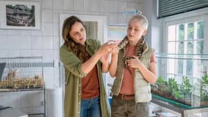Episode 5
