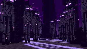The Last Place You Look