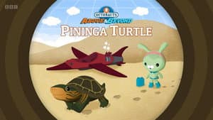 Pininga Turtle