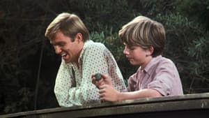 The Beguiled
