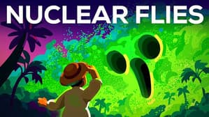 Why Is The US Dropping Billions Of Mutant Flies From The Sky?