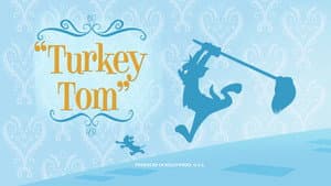 Turkey Tom