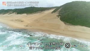 Episode 46