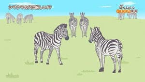 Episode 26