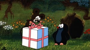 The Mole and the Surprise