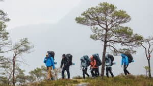 Flokkmentalitet - del 1