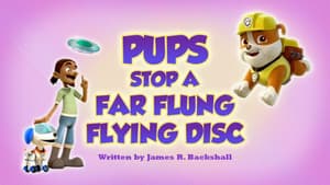 Pups Stop a Far Flung Flying Disc
