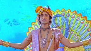 Krishna  Summons the Gods