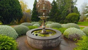 Episode 10 Autumn: Beginner gardeners and old hands alike