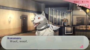 Strenght - Koromaru XI