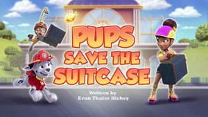 Pups Save the Suitcase