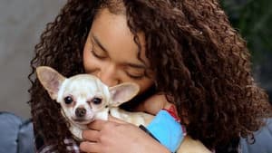Do Dogs Really Love Us?