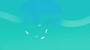 Ocean Gem