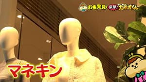 Episode 264
