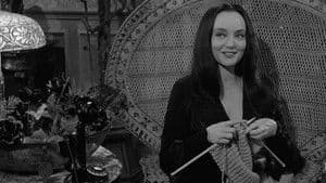 The Addams Family Goes to School