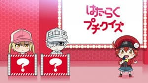 Special 1 - Petit Quiz