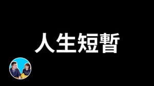 Episode 291