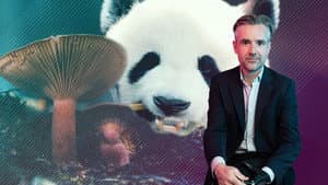 Biodiversity: Are We Protecting the Right Species?